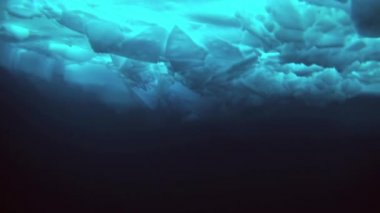 Arctic coğrafi Kuzey Kutbu'ndaki tüplü dalış.