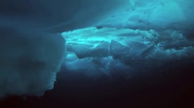 Arctic coğrafi Kuzey Kutbu'ndaki tüplü dalış.