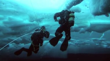 Arctic coğrafi Kuzey Kutbu'ndaki tüplü dalış.