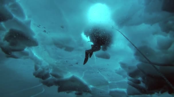 Scuba diving in Arctic at geographic North Pole. — Stock Video