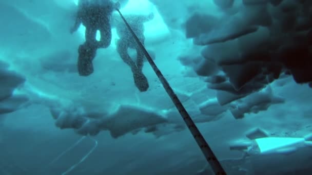 Dykning i Arktis på geografiska Nordpolen. — Stockvideo