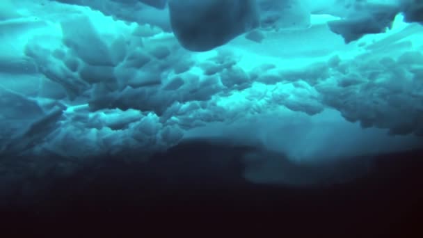 Scuba diving in Arctic at geographic North Pole. — Stock Video