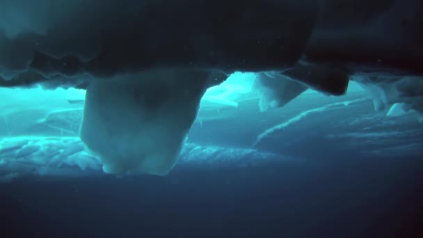 Dykning i Arktis på geografiska Nordpolen. — Stockvideo