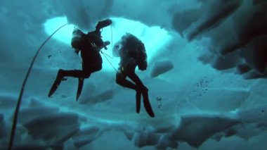 Arctic coğrafi Kuzey Kutbu'ndaki tüplü dalış.