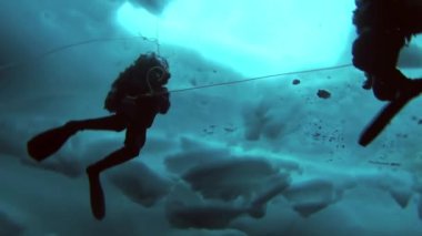 Arctic coğrafi Kuzey Kutbu'ndaki tüplü dalış.