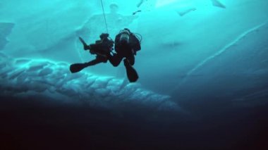 Arctic coğrafi Kuzey Kutbu'ndaki tüplü dalış.