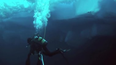 Arctic coğrafi Kuzey Kutbu'ndaki tüplü dalış.