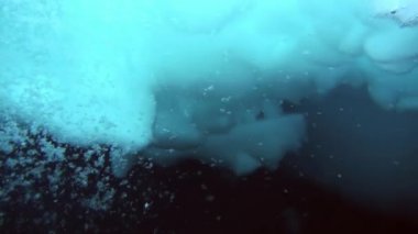 Arctic coğrafi Kuzey Kutbu'ndaki tüplü dalış.