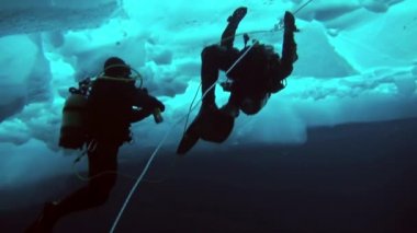 Arctic coğrafi Kuzey Kutbu'ndaki tüplü dalış.