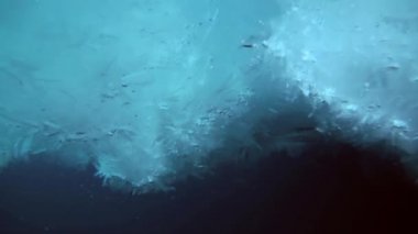 Arctic coğrafi Kuzey Kutbu'ndaki tüplü dalış.