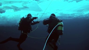 Arctic coğrafi Kuzey Kutbu'ndaki tüplü dalış.