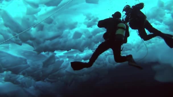 Scuba diving in Arctic at geographic North Pole. — Stock Video