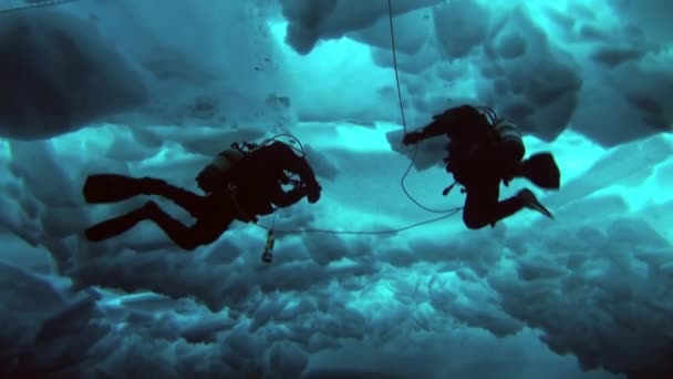 Scuba diving in Arctic at geographic North Pole. — Stock Video