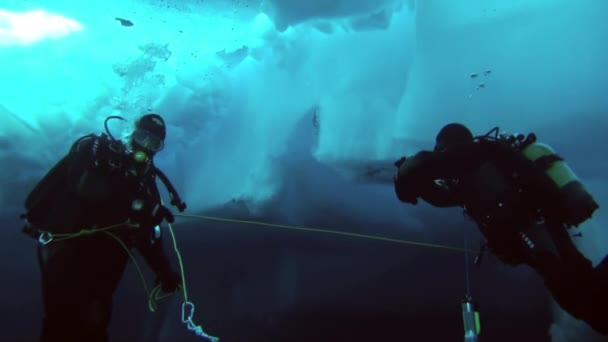 在北极在地理北极的水肺潜水. — 图库视频影像