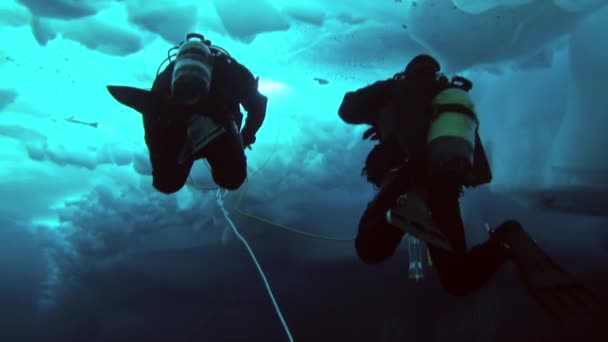 Scuba diving in Arctic at geographic North Pole. — Stock Video