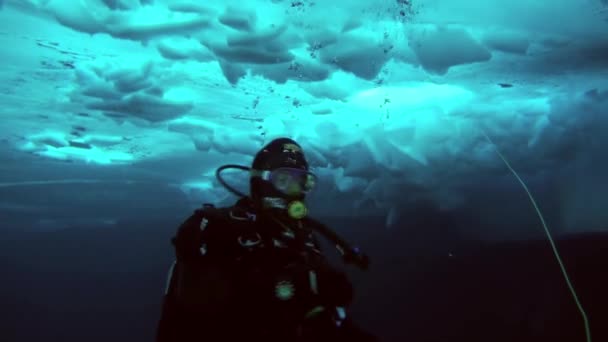 Duiken in noordpoolgebied op geografische noordpool. — Stockvideo