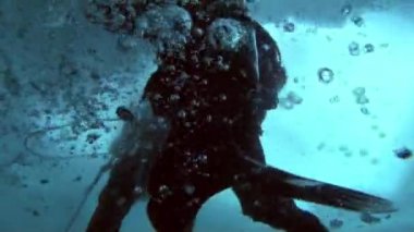 Arctic coğrafi Kuzey Kutbu'ndaki tüplü dalış.