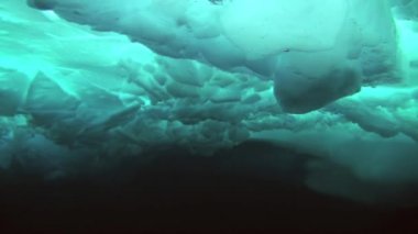 Arctic coğrafi Kuzey Kutbu'ndaki tüplü dalış.