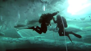 Arctic coğrafi Kuzey Kutbu'ndaki tüplü dalış.