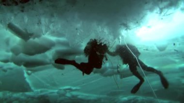 Arctic coğrafi Kuzey Kutbu'ndaki tüplü dalış.