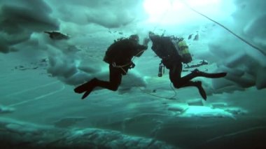 Arctic coğrafi Kuzey Kutbu'ndaki tüplü dalış.