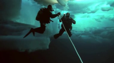 Arctic coğrafi Kuzey Kutbu'ndaki tüplü dalış.