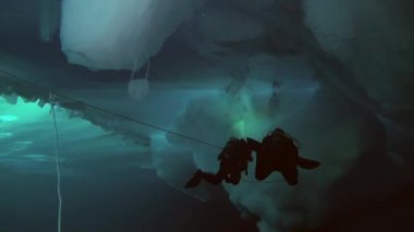 Arctic coğrafi Kuzey Kutbu'ndaki tüplü dalış.