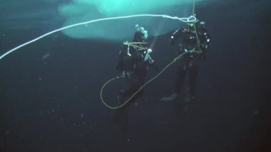 Arctic coğrafi Kuzey Kutbu'ndaki tüplü dalış.