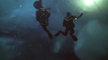 Arctic coğrafi Kuzey Kutbu'ndaki tüplü dalış.