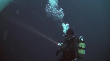 Arctic coğrafi Kuzey Kutbu'ndaki tüplü dalış.