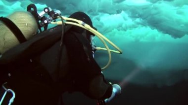 Arctic coğrafi Kuzey Kutbu'ndaki tüplü dalış.