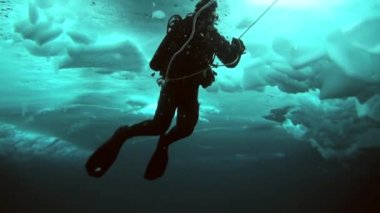 Arctic coğrafi Kuzey Kutbu'ndaki tüplü dalış.