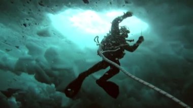 Arctic coğrafi Kuzey Kutbu'ndaki tüplü dalış.