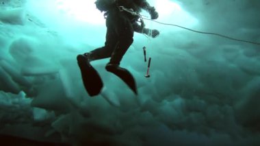 Arctic coğrafi Kuzey Kutbu'ndaki tüplü dalış.