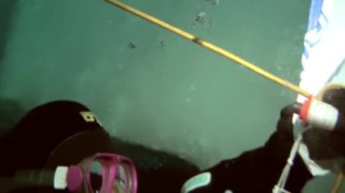 Arctic coğrafi Kuzey Kutbu'ndaki tüplü dalış.