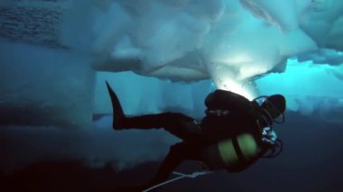 Arctic coğrafi Kuzey Kutbu'ndaki tüplü dalış.