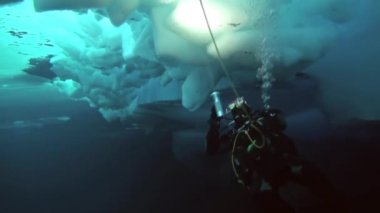 Arctic coğrafi Kuzey Kutbu'ndaki tüplü dalış.