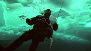 Arctic coğrafi Kuzey Kutbu'ndaki tüplü dalış.