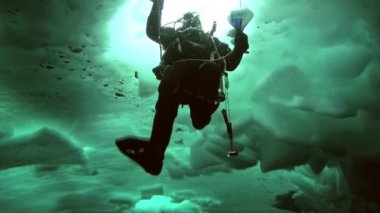 Arctic coğrafi Kuzey Kutbu'ndaki tüplü dalış.