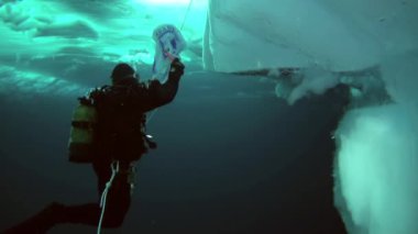 Arctic coğrafi Kuzey Kutbu'ndaki tüplü dalış.