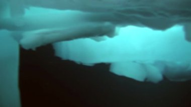 Arctic coğrafi Kuzey Kutbu'ndaki tüplü dalış.