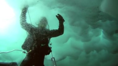 Arctic coğrafi Kuzey Kutbu'ndaki tüplü dalış.