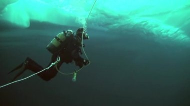 Arctic coğrafi Kuzey Kutbu'ndaki tüplü dalış.