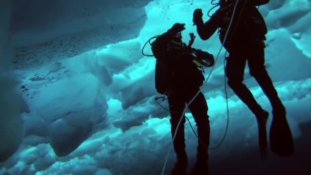 Duiken in noordpoolgebied op geografische noordpool. — Stockvideo