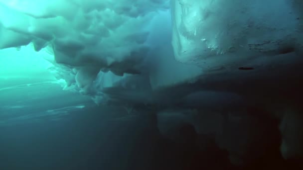 Scuba diving in Arctic at geographic North Pole. — Stock Video