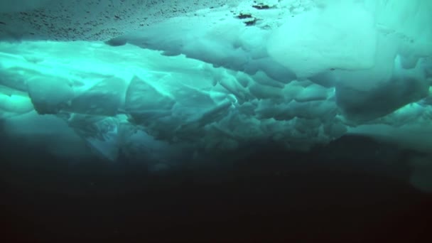 Tauchen in der Arktis am geografischen Nordpol. — Stockvideo