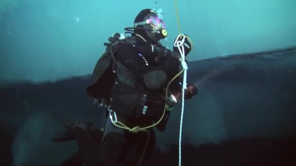 Scuba diving in Arctic at geographic North Pole. — Stock Video