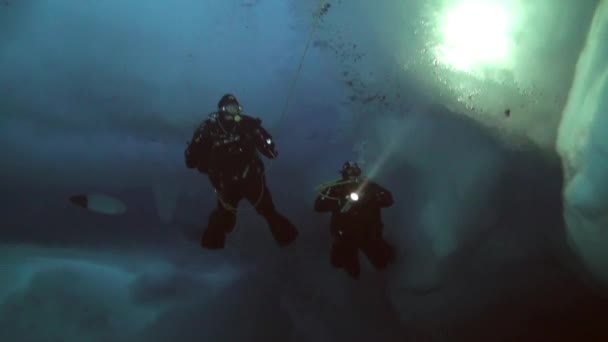 Dykning i Arktis på geografiska Nordpolen. — Stockvideo