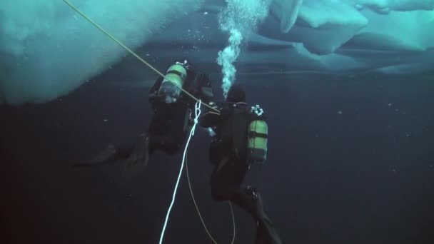 Scuba diving in Arctic at geographic North Pole. — Stock Video