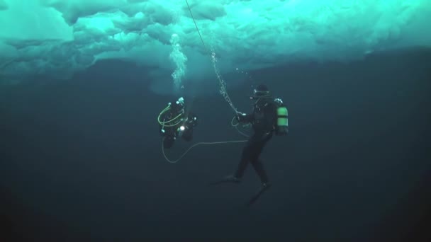 Plongée sous-marine dans l'Arctique au pôle Nord géographique . — Video